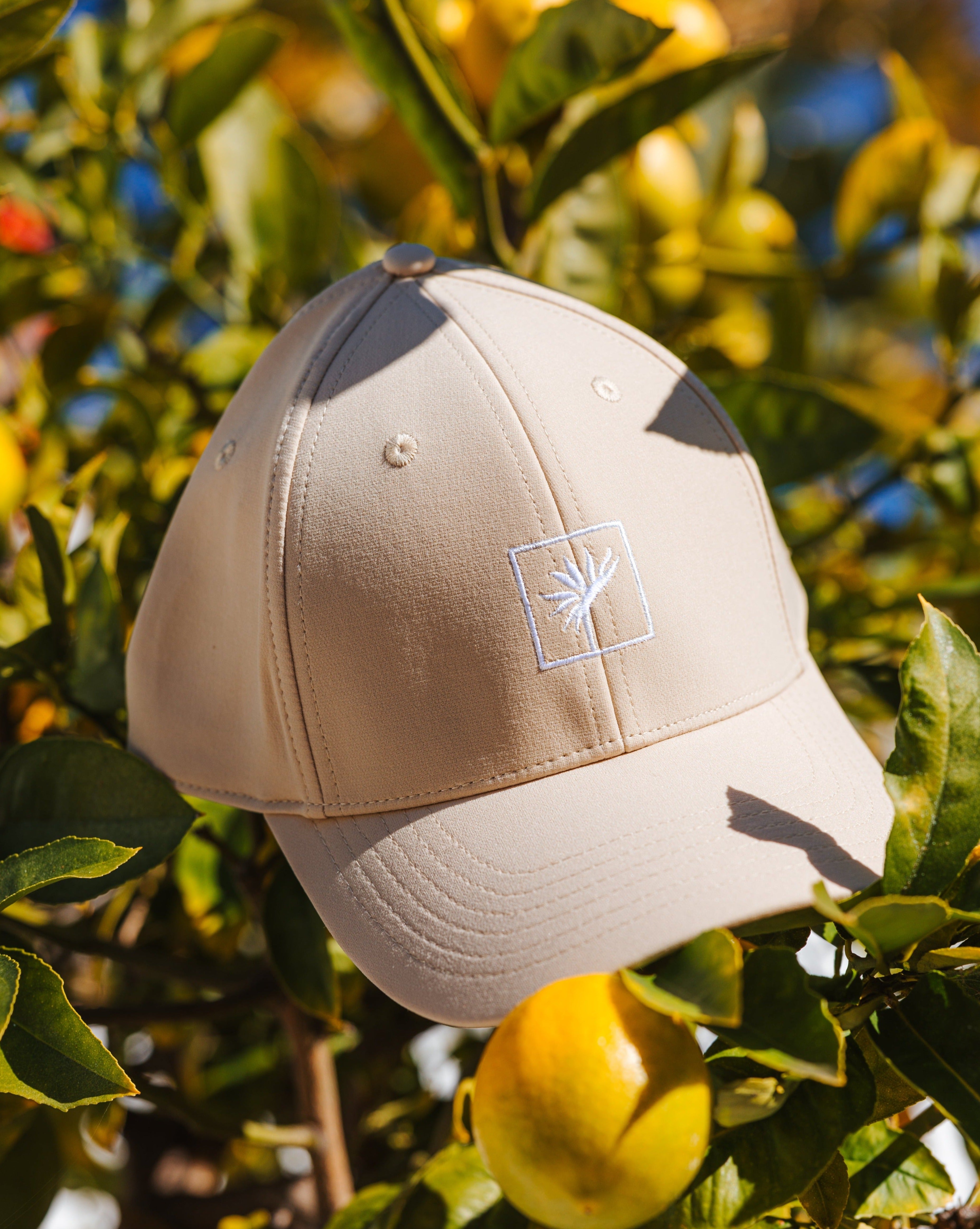 Bloom Basic Nylon Cap (Dune)