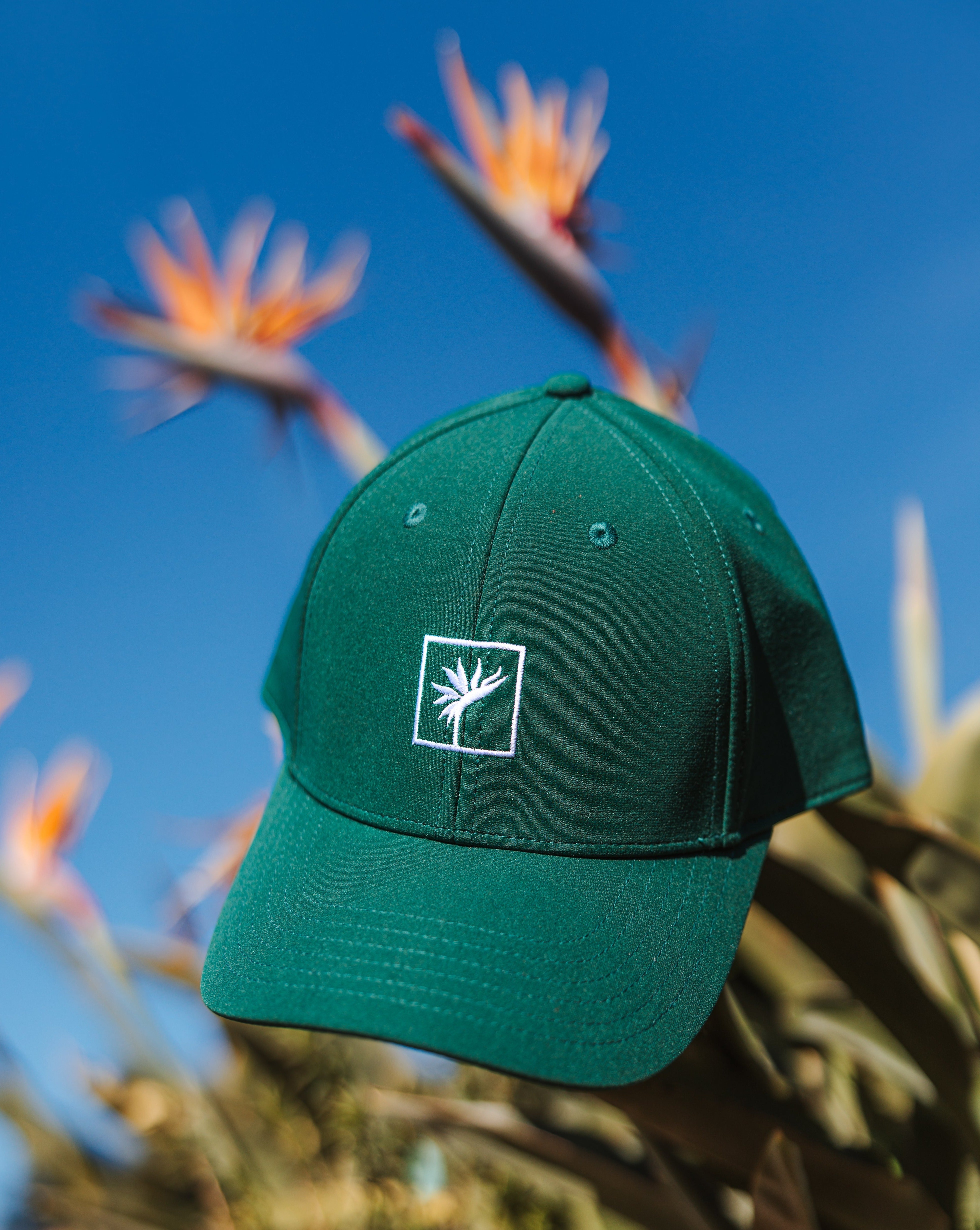 Bloom Basic Nylon Cap (Palm Leaf)